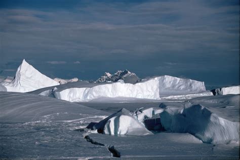 NEWS STORY: Sea-level rise from Antarctic collapse - British Antarctic ...