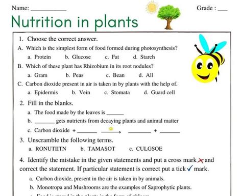 Free Worksheets for CBSE SCIENCE | Nutrition in plants, Plant lessons ...