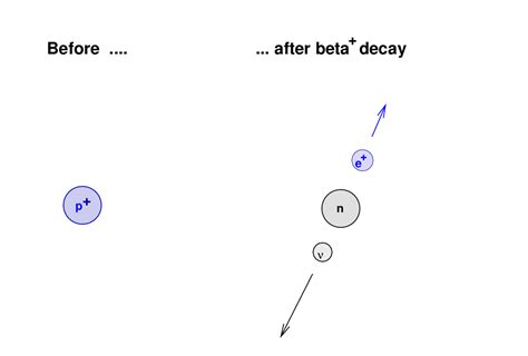 Neutrinos: what are they, and what creates them?