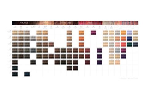 igora royal color chart 2019 - Felecia Dunning