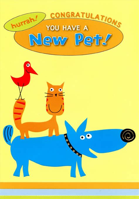 Designer Greetings Bird, Cat and Dog New Pet Congratulations Card ...