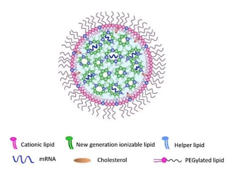 Lipid Nanoparticles (LNP) for mRNA Drug Delivery - Huateng Pharmaceutical CO Ltd