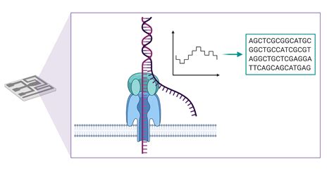 New study illustrates benefits of long-read sequencing technology for precision oncology ...