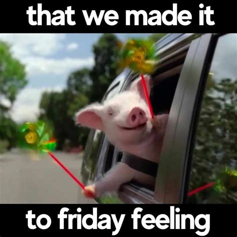 75 Funny Friday Memes To Celebrate TGIF!