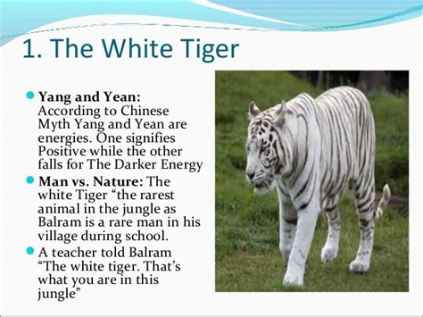 The White Tiger