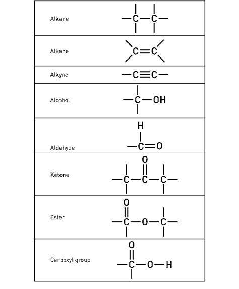Organic Compounds Structure