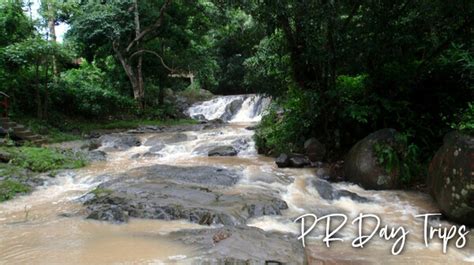 Anasco - Salto de Encantado and the Mirador Observation Tower | PRDayTrips