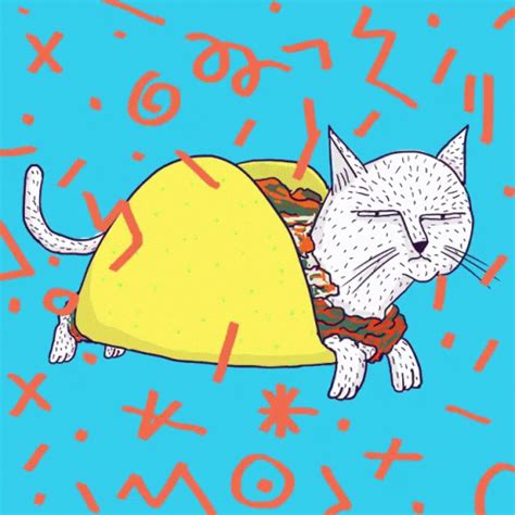 Taco Cat GIF - Taco Cat - Discover & Share GIFs