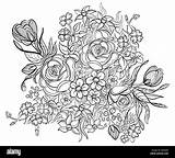 Stencil Coloring Books sketch template