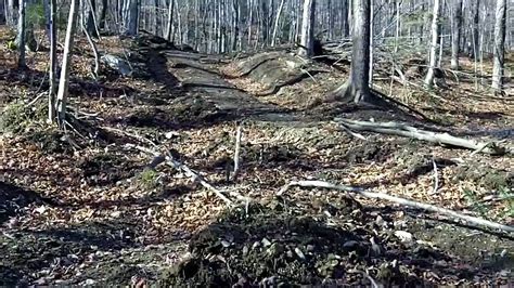 Example: Major Soil Erosion on Forest Access - YouTube