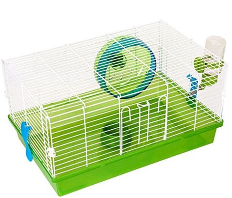 10 Best Hedgehog Cages And Their Reviews - Hedgehogged in 2020 | Hedgehog cage, Hedgehog pet ...