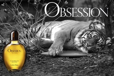 Introducir 61+ imagen calvin klein obsession attracts big cats ...