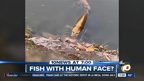 Video shows fish with human-like face?