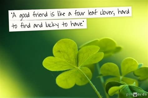 This Irish Wisdom Is The Inspiration You Need For A Happy Life | HuffPost