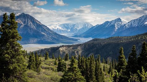 Kluane National Park and Reserve - Yukon territory - backiee