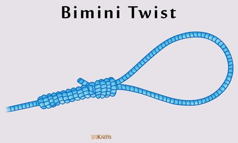 How to Tie a Bimini Twist Knot? Steps, Variations, Video & Uses