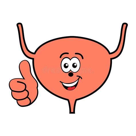 Happy Smiling Cartoon Urinary Bladder Vector Stock Vector - Illustration of smile, medicine ...