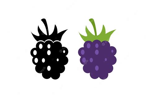 Blackberry icono berry ilustración símbolo signo zarza vector plano | Vector Premium