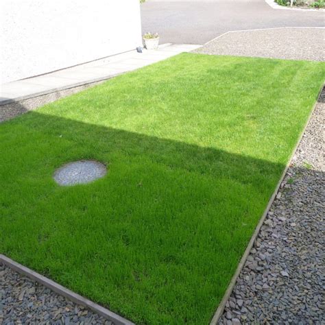 X-Grid Green | Permeable Grass Grid | Plastic Grass Paving Panels