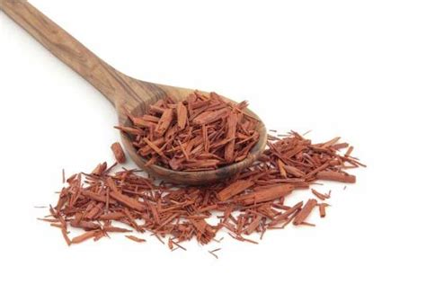 Sandalwood Scent May Heal Your Wounds - Forever Conscious