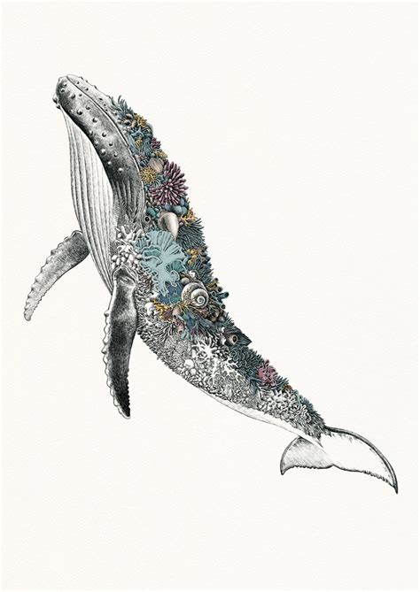 Humpback Whale - Giclée Print in 2020 | Humpback whale tattoo, Whale ...