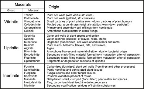 Macerals, Coal, Kentucky Geological Survey, University of Kentucky