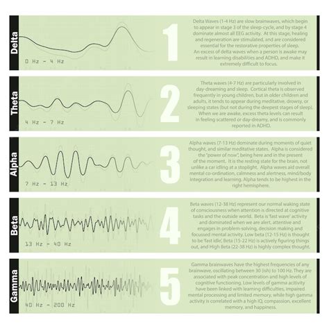 Premium Vector | Different brain waves diagrams