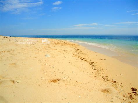 How to Go to Tambobong Beach and List of Expenses - Travex Travels - Travel. Explore. Fun in PH