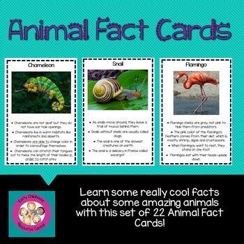 Animal Fact Cards by Early Childhood Resource Center | TPT