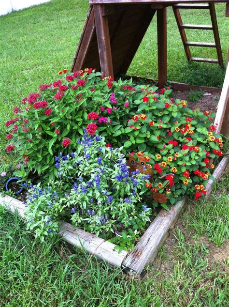 My very happy central Florida butterfly garden : gardening