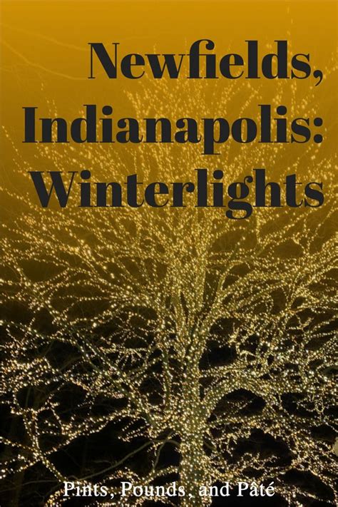 the cover of newfields, indianapolis's winterlights prints, bounds and pate