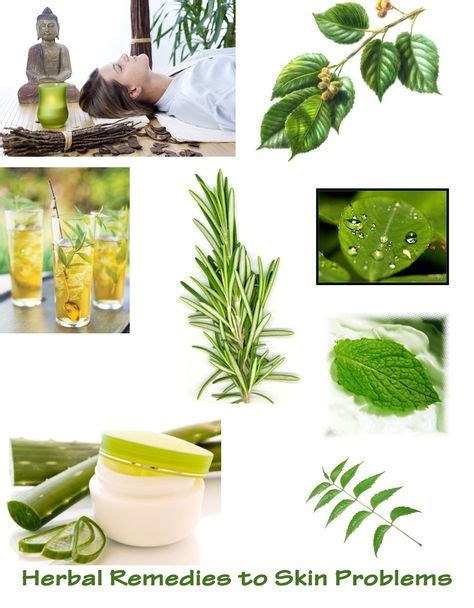 List of Herbal Remedies to Most Skin Problems | Gardens / Herbs ...