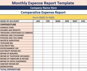 Expense Report Template - Excel Word Template