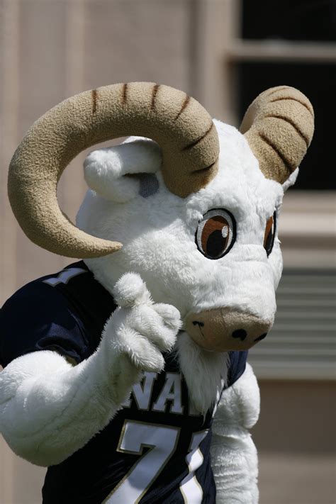 The 50 Best Mascots in College Football | News, Scores, Highlights, Stats, and Rumors | Bleacher ...