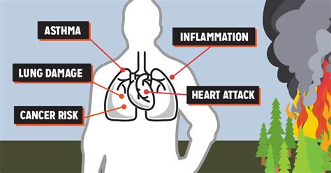 5 Disturbing Dangers of Wildfire Smoke | Touchstone Essentials