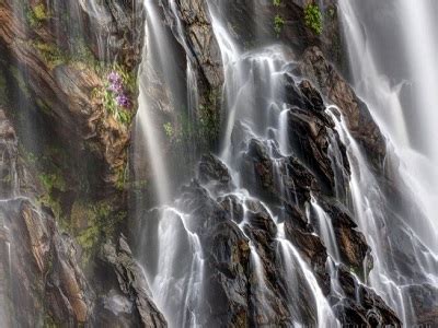 Meenmutty Waterfalls | Popular Waterfalls in Wayanad