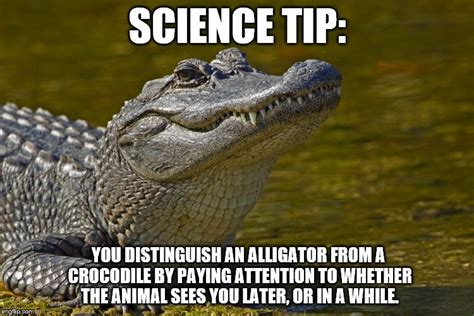 A Scientifically Accurate Way to Tell the Difference Between an Alligator and a Crocodile