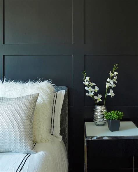 Tricorn Black Sherwin Williams: The Bold, Chic Black Paint