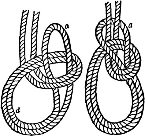 Bowline on a Bight | ClipArt ETC