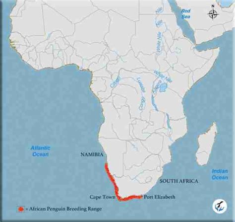 African Penguin range map | Penguins International