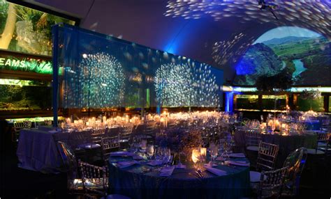 Shedd Aquarium | Chicago Venue | All Events | 95 photos on PartySlate