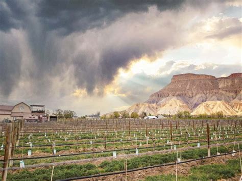 Guide To Exploring the Palisade Wineries in Western Colorado - The Happiness Function