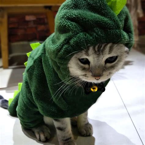 Winter Cat Clothes Dinosaur Design Pet Clothing For Small Cats Funny Hoodie Costume Pets Kitten ...