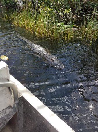 Gator Park (Miami) - All You Need to Know Before You Go (with Photos) - TripAdvisor