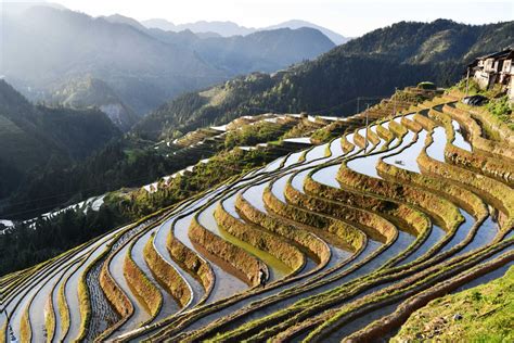 Terraced field in Guizhou shows prosperity, beauty