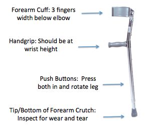 Forearm/Lofstrand Crutches - Physical Therapy 101