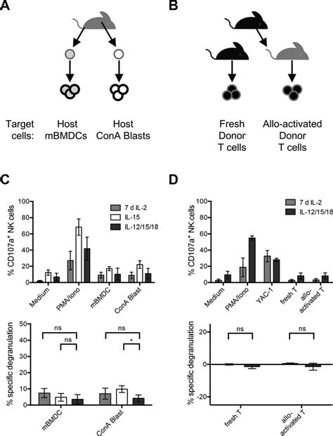 NK-cell degranulation upon stimulation with allogeneic or syngeneic ...