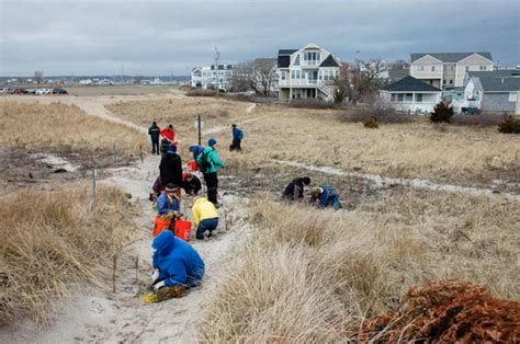 Dune Restoration and Research - Communities Tracking Coastal Change