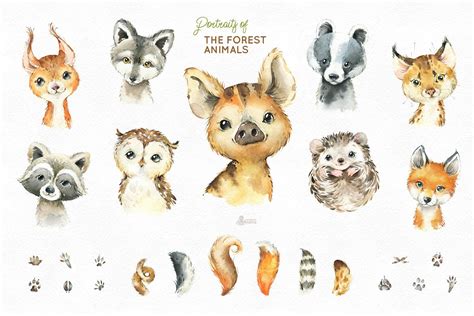 Woodland. Little Watercolor Animals | Watercolor animals, Animal illustration, Animal drawings