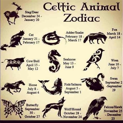 Pin by Ruth Williams on Magic and mystery | Celtic zodiac, Celtic ...